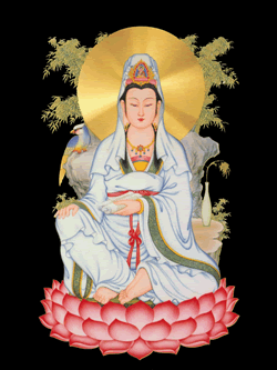 南无观世音菩萨
